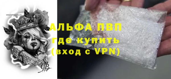 стафф Арсеньев