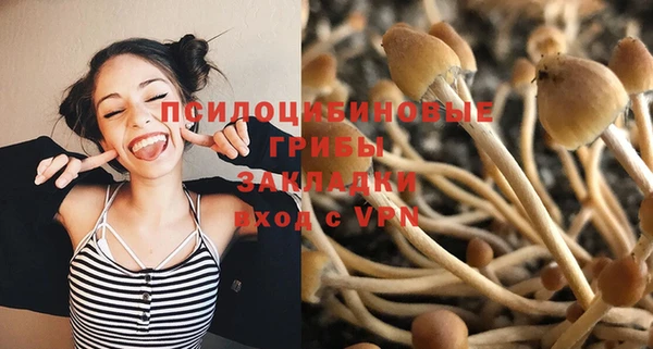 кокс Армянск