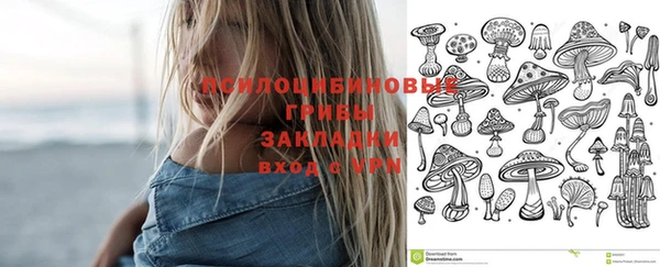 стафф Арсеньев