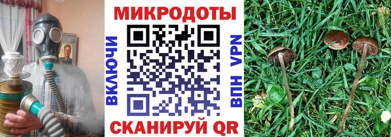 Псилоцибиновые грибы MAGIC MUSHROOMS  Приморск 